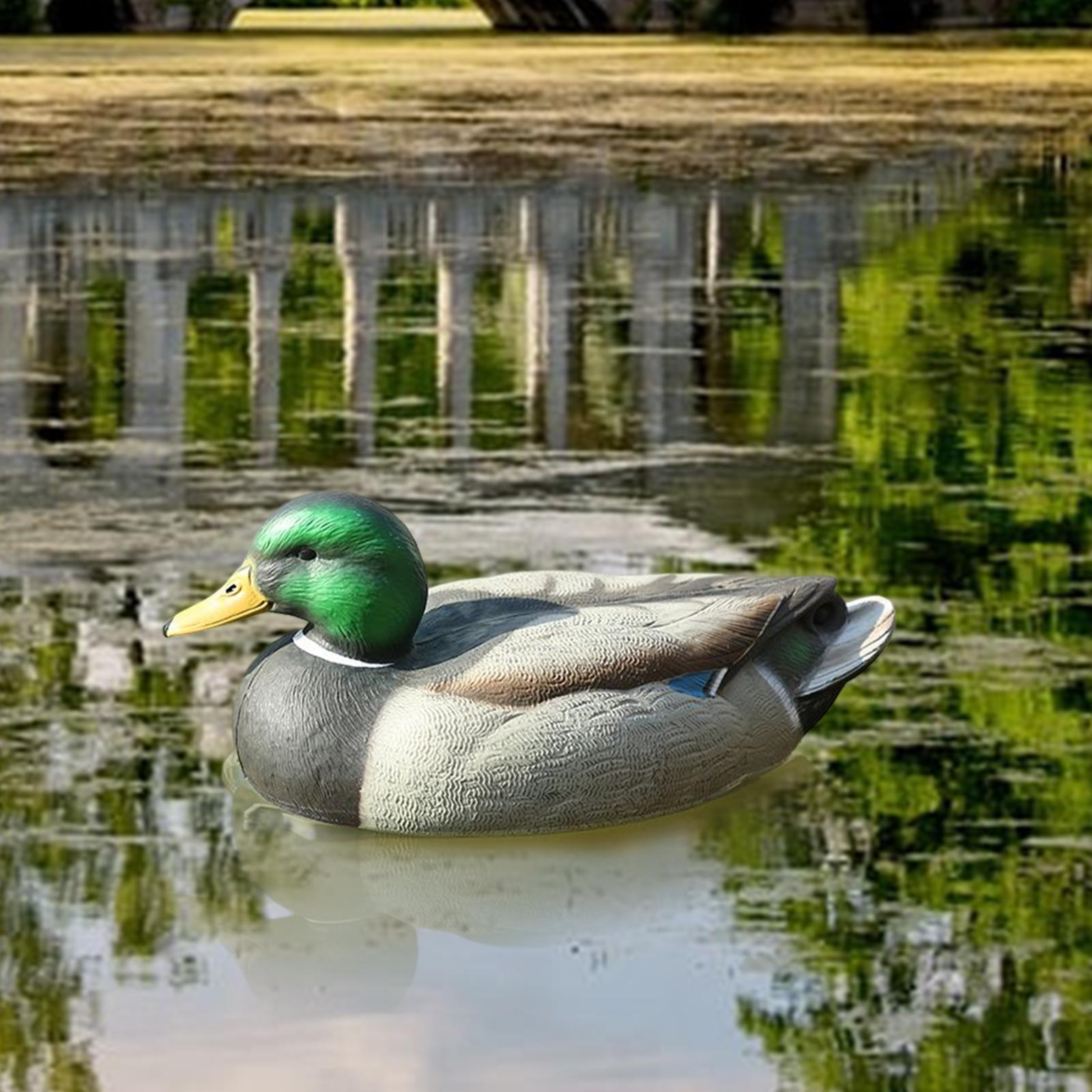 Decoy Duck Plastic - طُعم صيد بلاستيكي على شكل بطة