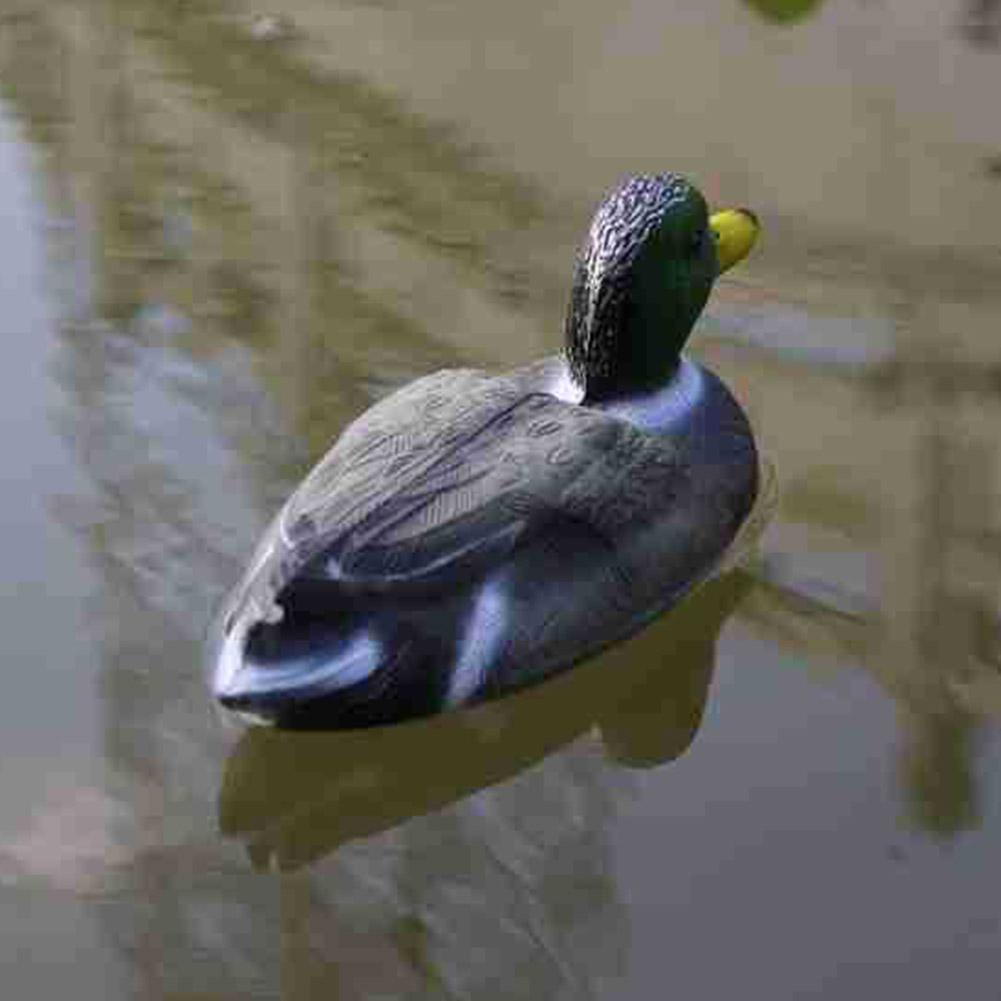 بطة صيد عائمة واقعية للزينة ال - مراجعة Decoy Duck Plastic وسعره