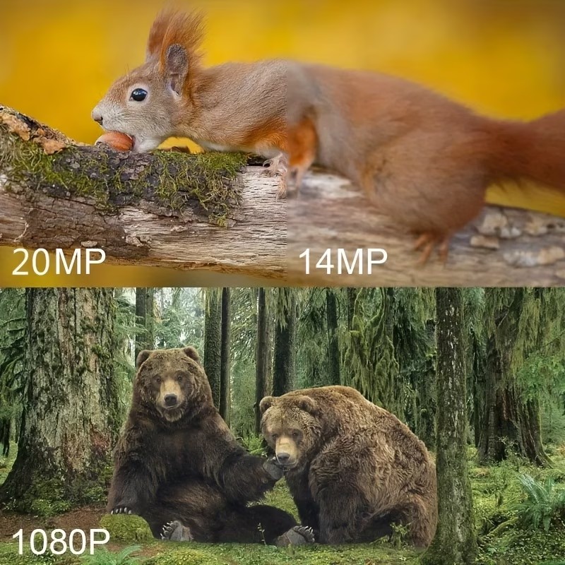 في الهواء الطلق الصيد كاميرا ت - مراجعة Outdoor Hunting Camera Wireless وسعره