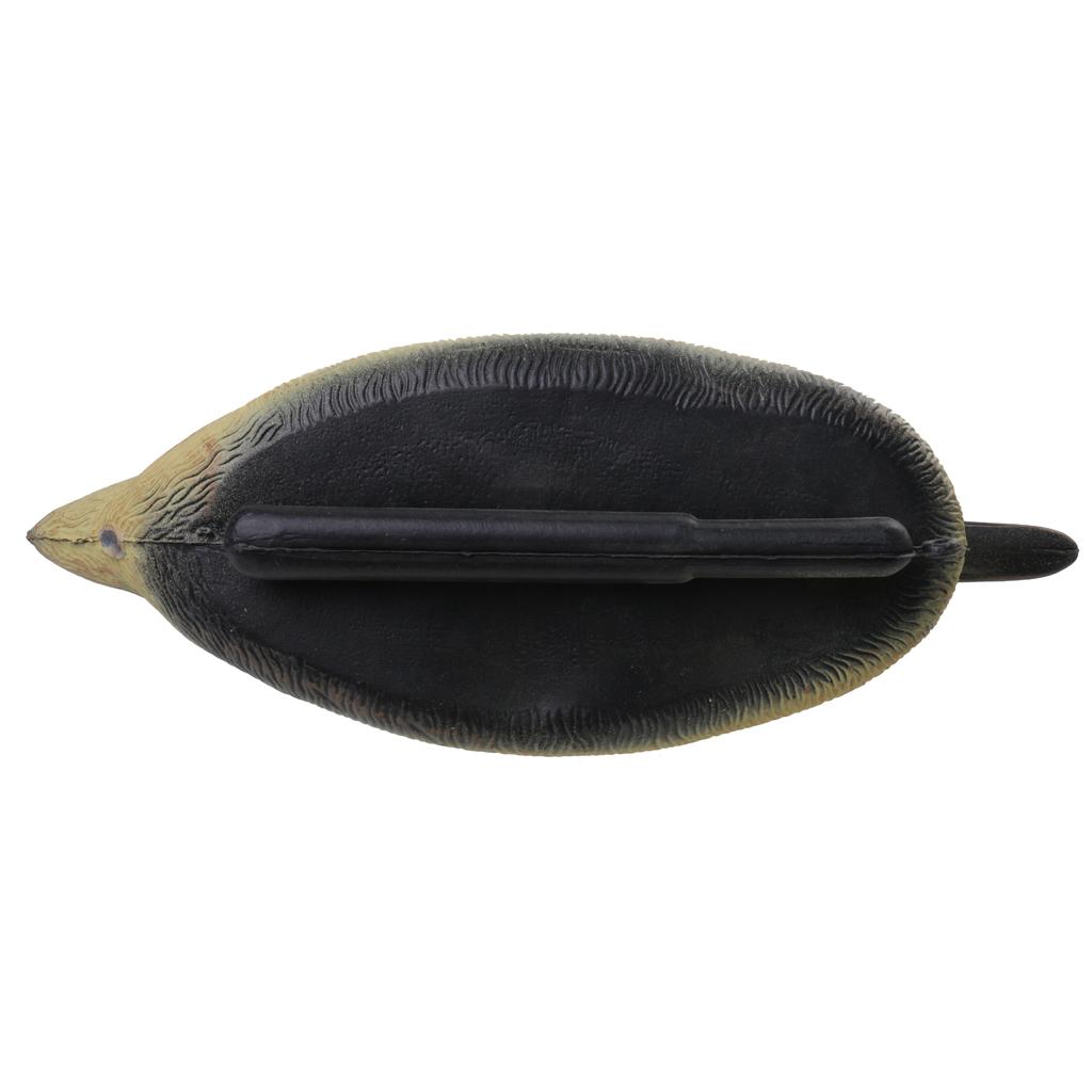 مجسم بطة بلاستيكي متين، إكسسوا - مراجعة Decoy Duck Plastic وسعره