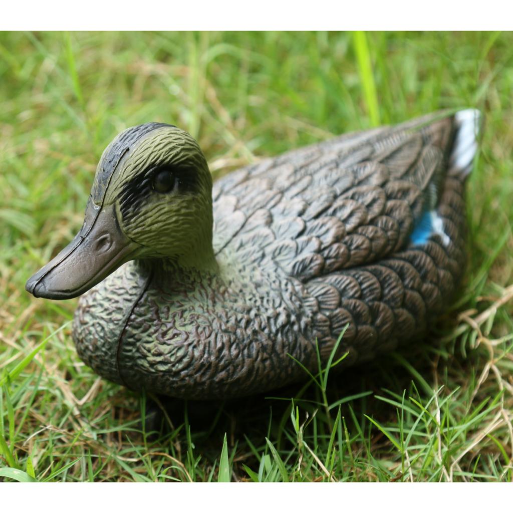 مجسم بطة ماندرين بلاستيكي بالح - مراجعة Decoy Duck Plastic وسعره