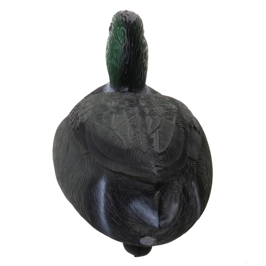 مجسم بطة عائم بالحجم الطبيعي م - مراجعة Decoy Duck Plastic وسعره