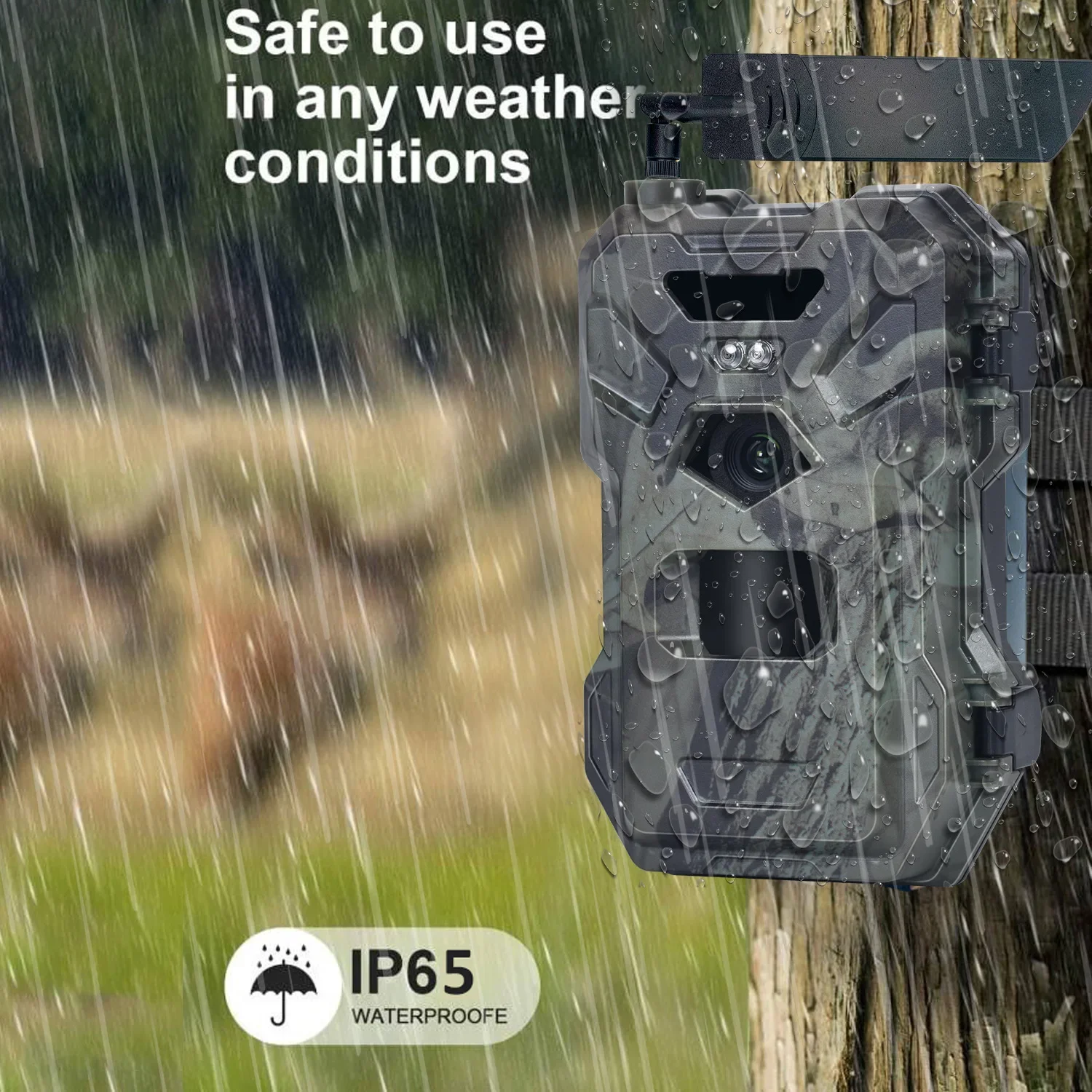 HC-880Pro 4G 30MP HD 2K للرؤية - مراجعة Outdoor Hunting Camera Wireless وسعره
