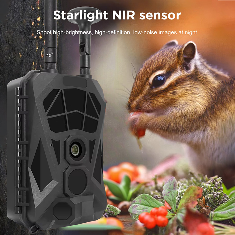 كاميرا تعقب 4G GPS اللاسلكية ا - مراجعة Outdoor Hunting Camera Wireless وسعره