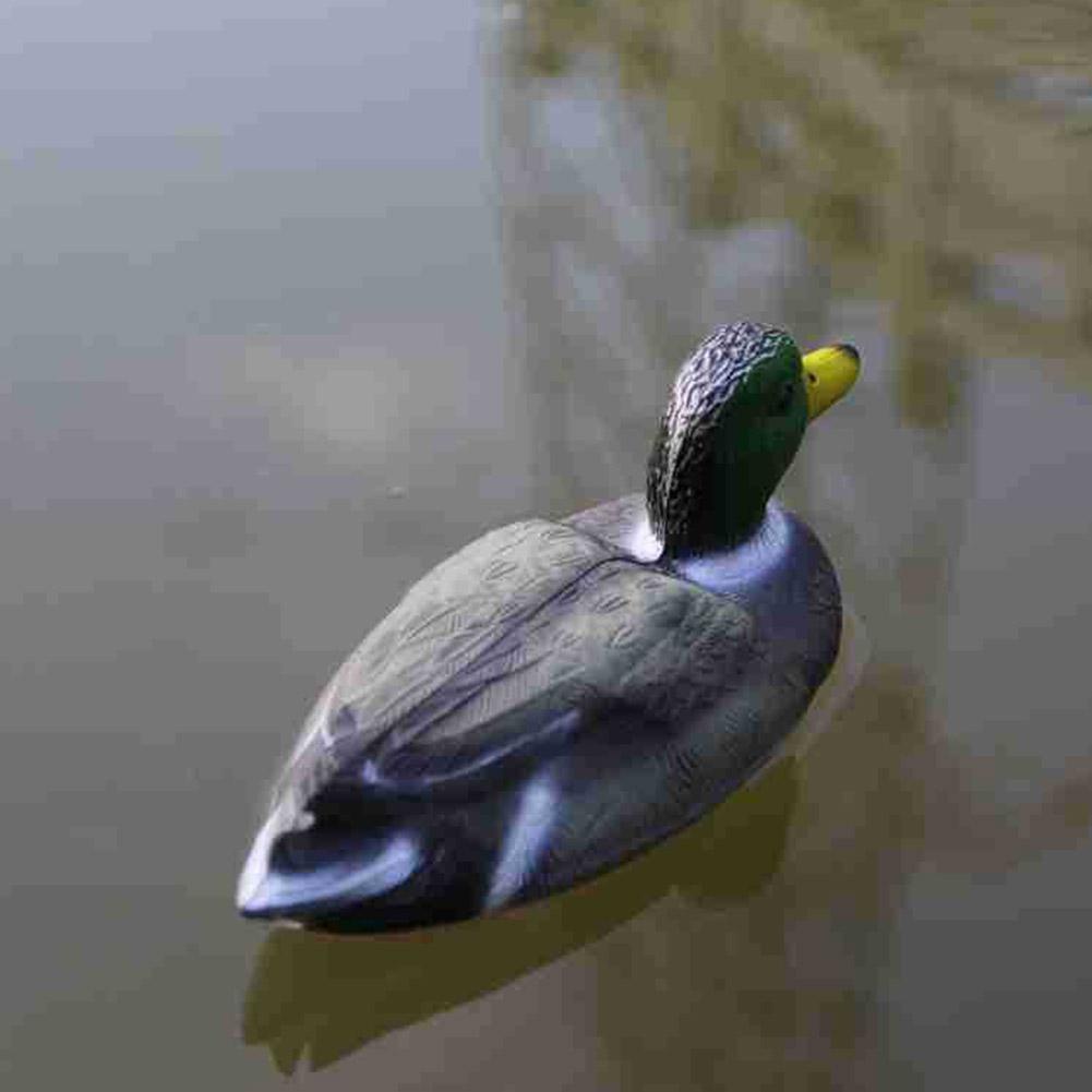 1 قطعة طُعم بطة بلاستيكي واقعي - مراجعة Decoy Duck Plastic وسعره