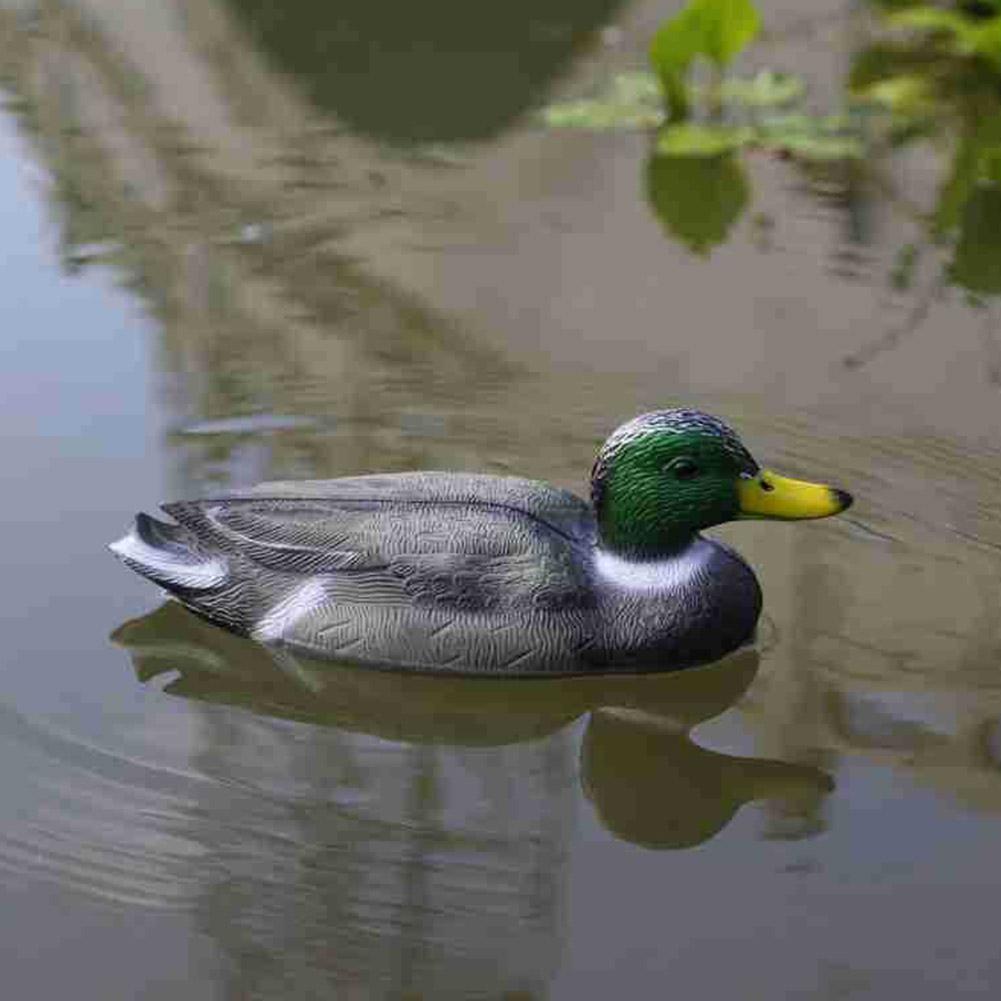 طُعم صيد البط البلاستيكي الواق - مراجعة Decoy Duck Plastic وسعره
