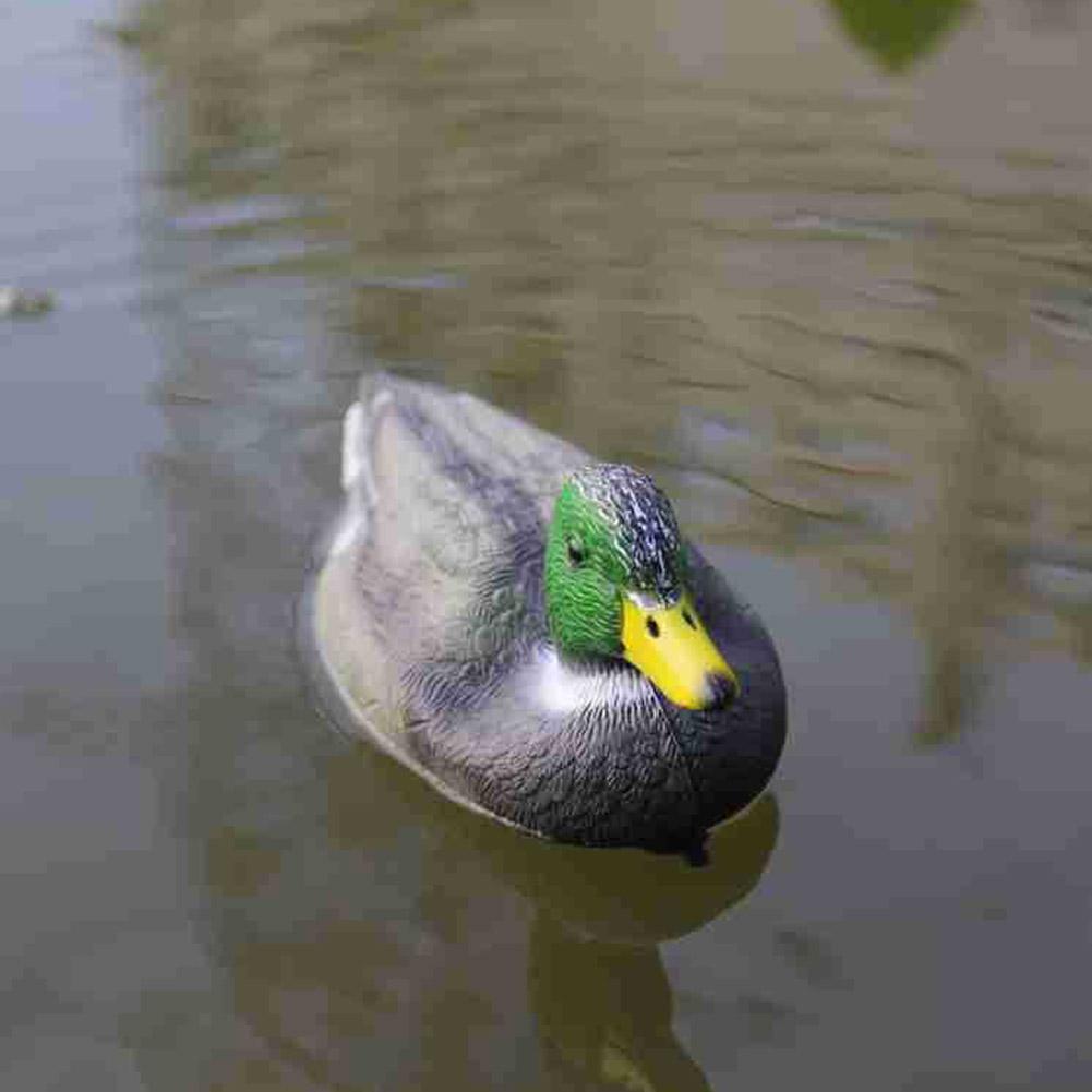 طُعم صيد البط البلاستيكي الواق - مراجعة Decoy Duck Plastic وسعره