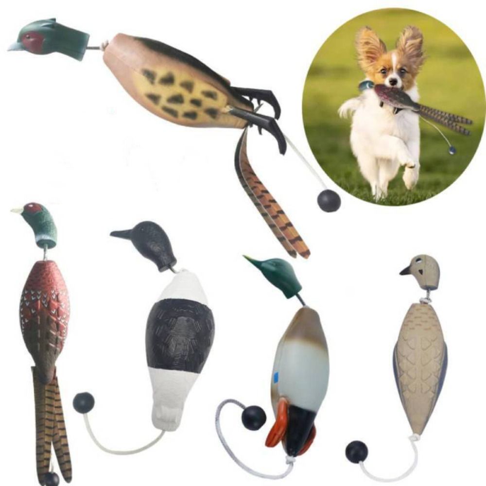 مجسم بطة مالارد محاكي لتدريب ا - مراجعة Decoy Duck Plastic وسعره