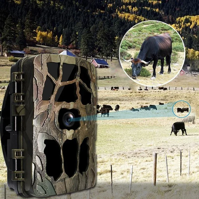 H982 IP66 مقاوم للماء 4K الأشع - مراجعة Outdoor Hunting Camera Wireless وسعره