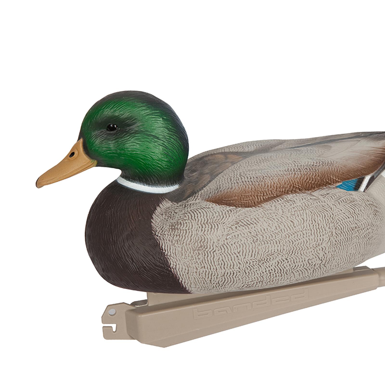 طُعم صيد بلاستيكي على شكل بطة  - مراجعة Decoy Duck Plastic وسعره
