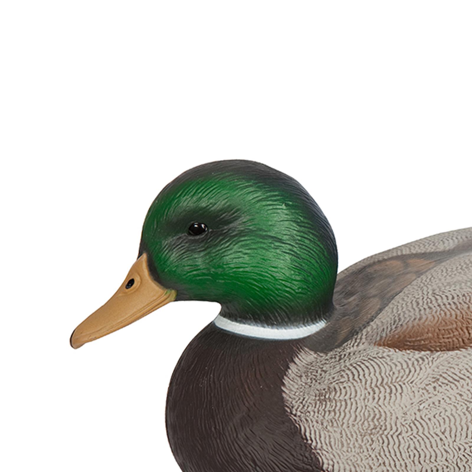 طُعم صيد بلاستيكي على شكل بطة  - مراجعة Decoy Duck Plastic وسعره