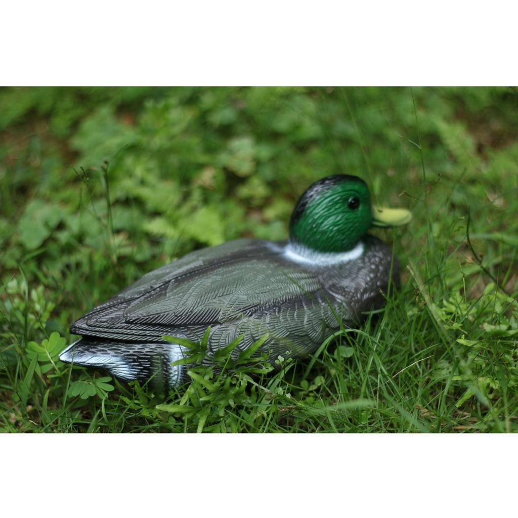 دمية بط بلاستيكية واقعية لطرد  - مراجعة Decoy Duck Plastic وسعره