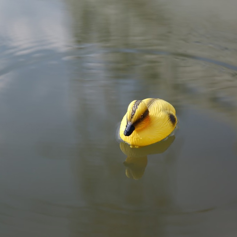 العائمة بطة البط بركة تمثال زخ - مراجعة Decoy Duck Plastic وسعره
