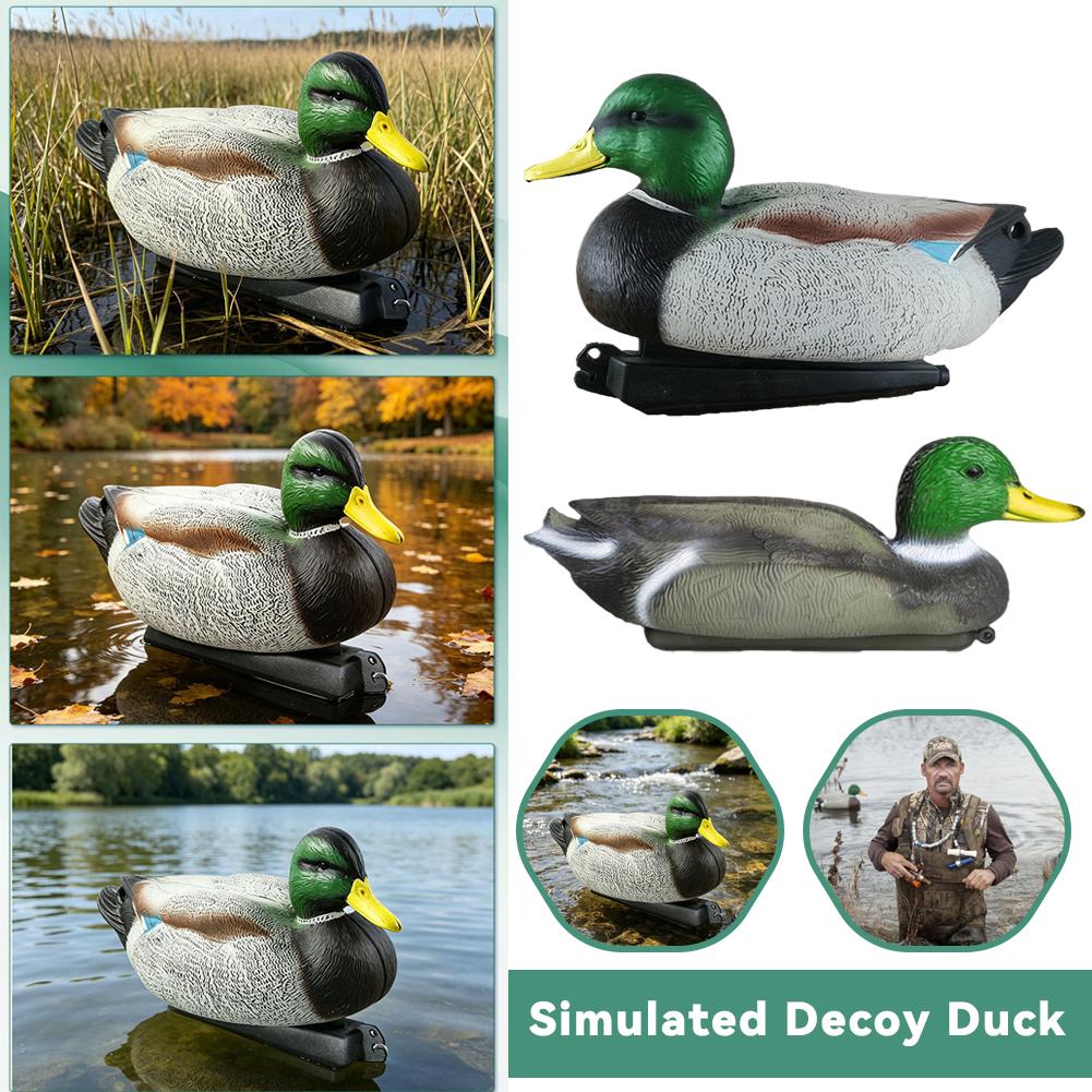 طُعم بطة عائم ثلاثي الأبعاد وا - مراجعة Decoy Duck Plastic وسعره