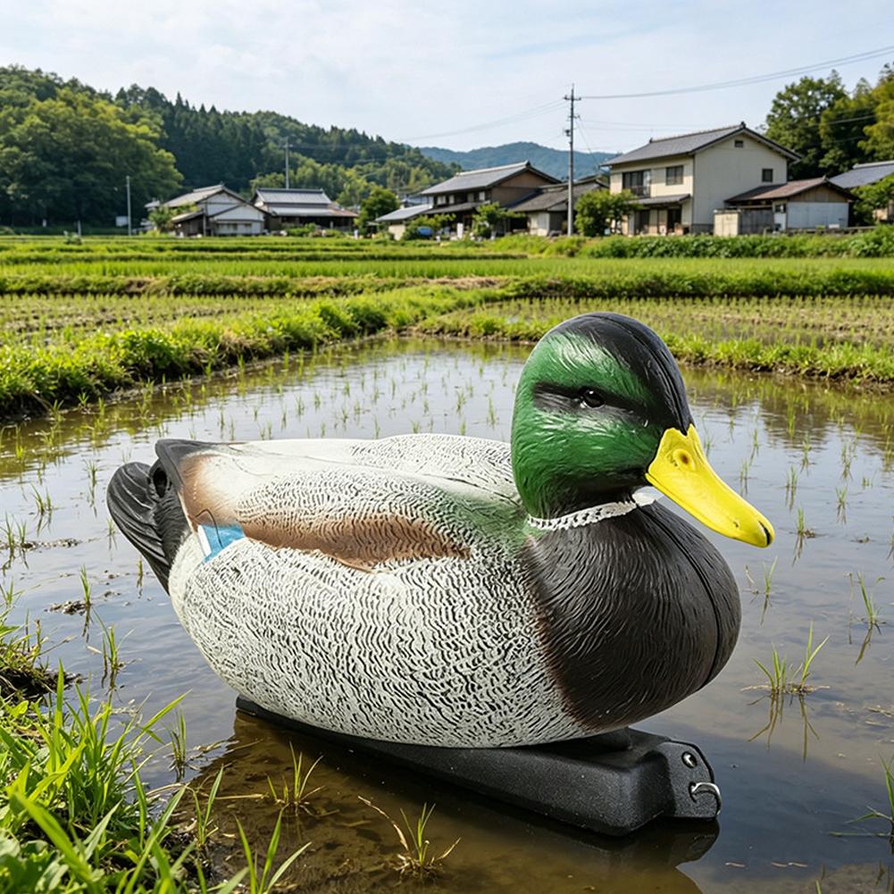 طُعم بطة عائم ثلاثي الأبعاد وا - مراجعة Decoy Duck Plastic وسعره
