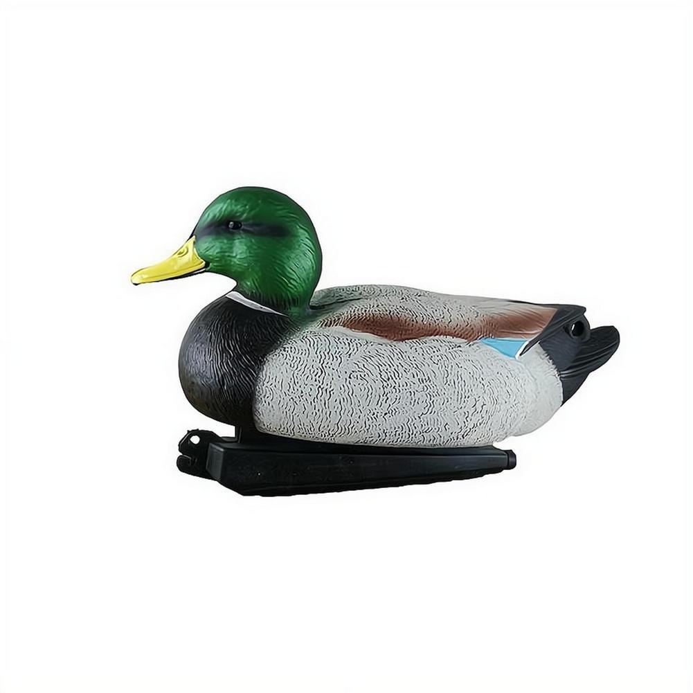 طُعم بطة عائم ثلاثي الأبعاد وا - مراجعة Decoy Duck Plastic وسعره